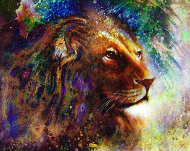 Lion face profile portrait, on colorful abstract feather pattern background.