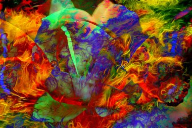 Illustration of a colored butterfly with flower, mixed media, abstract color background