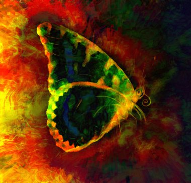 Illustration of a  color butterfly, mixed medium, abstract color background