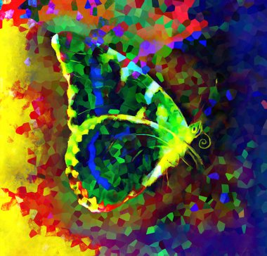 Illustration of a  color butterfly, mixed medium, abstract color background