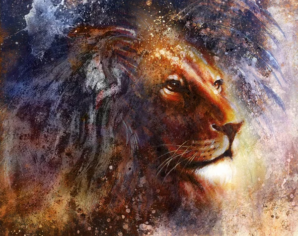lion face profile portrait, on colorful abstract  background..