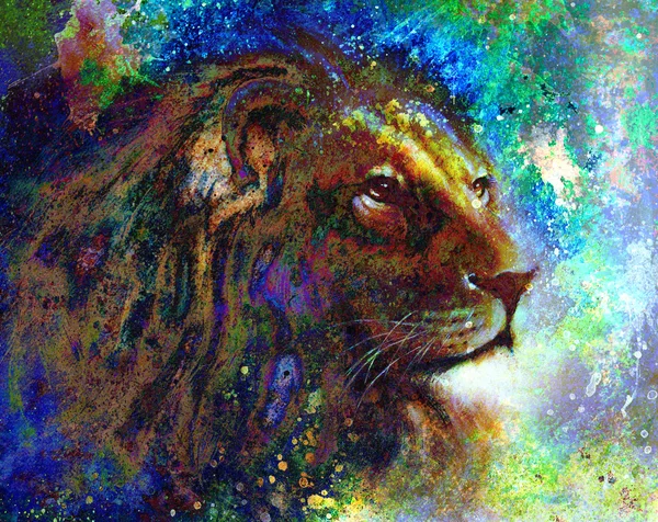 Retrato de perfil de rosto de leão, em fundo abstrato colorido .. — Fotografia de Stock