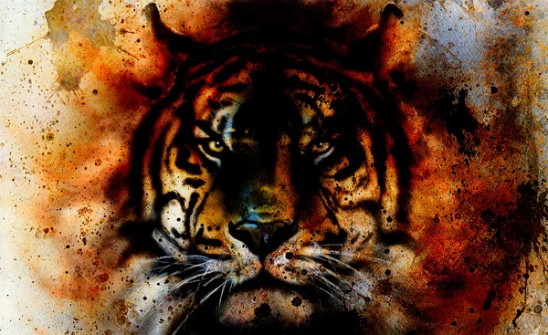 Tiger collage på färg abstrakt bakgrund, rost struktur, vilda djur, ögonkontakt. — Stockfoto
