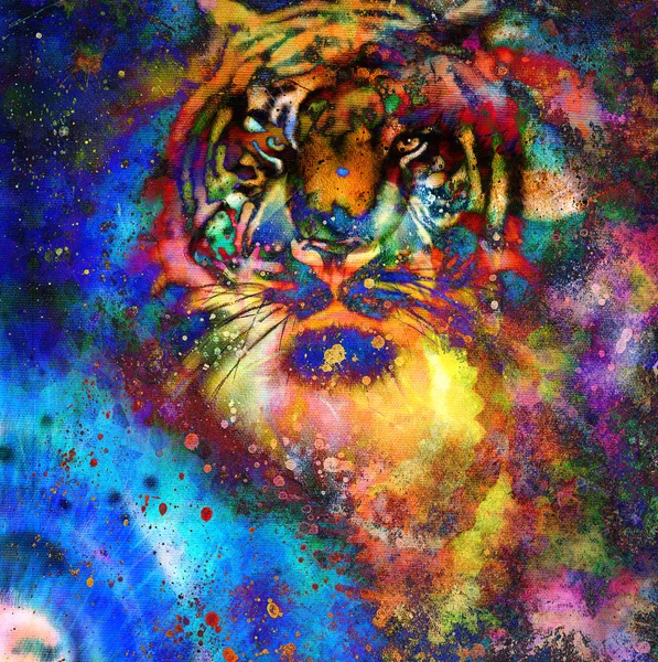 Collage de tigre sur fond abstrait de couleur, structure de rouille, animaux sauvages — Photo