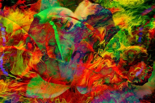 Ilustrare a unui fluture color, mediu mixt, fundal color abstract — Fotografie, imagine de stoc