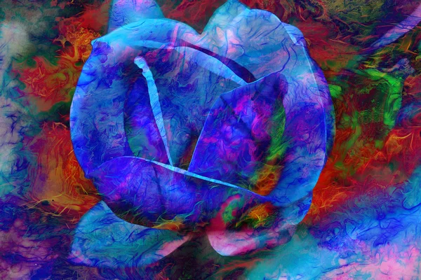 Linda flor de cor azul, fundo abstrato de cor . — Fotografia de Stock