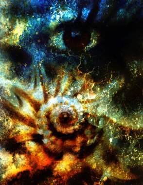 Kadınlar göz. resim kolaj ve soyut deniz kabuğu.