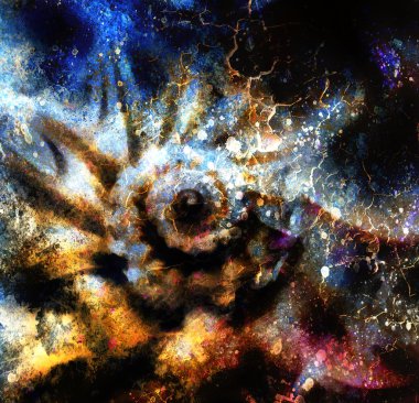 Deniz deniz kabuğu. Renk backgrou ile kolaj resim