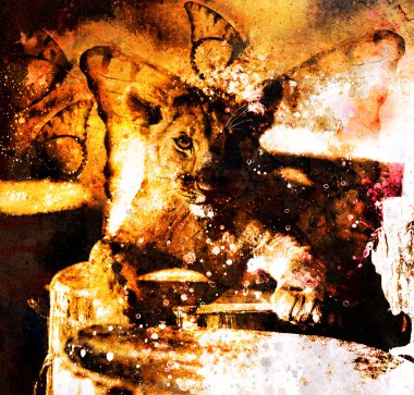 Lion cub and butterfly. Abstract color background and spots
