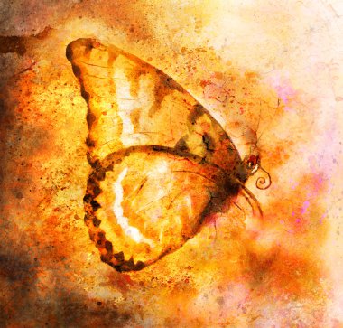  illustration of a  color butterfly, mixed medium, abstract color background.