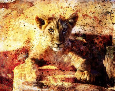 Lion cub photos and painting Abstract Collage. Eye contact