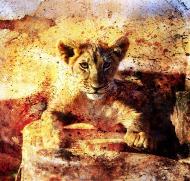Lion cub photos and painting Abstract Collage. Eye contact. Abstract structure background.