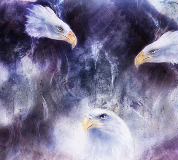 Beautiful painting of  eagles on an abstract background collage — Stockfoto