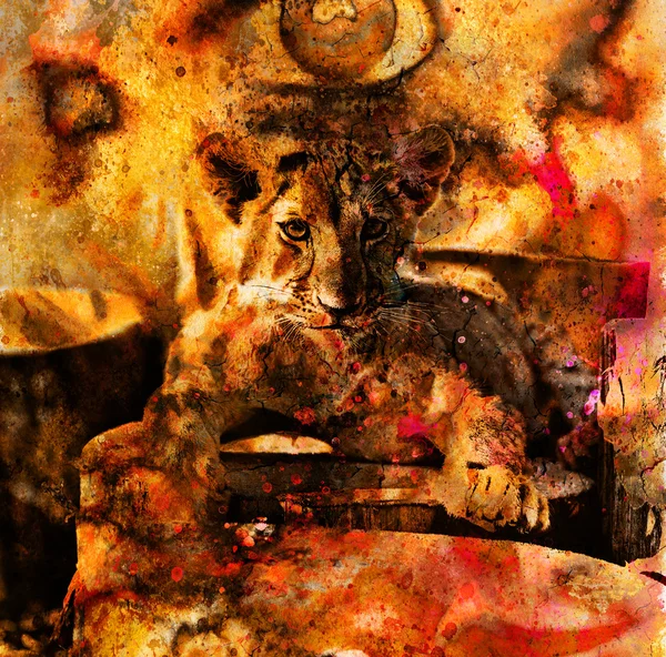 Lion cub photos and painting Abstract Collage. Eye contact — Zdjęcie stockowe