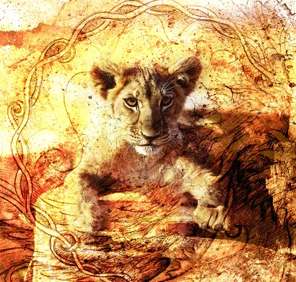 Lion cub photos and painting Abstract Collage. Eye contact. Celtic Ornament background — Stock fotografie