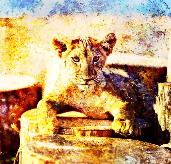 Lion cub photos and painting Abstract Collage. Eye contact — Stock fotografie