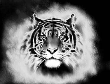 painting of a bright mighty tiger head on a soft toned abstract background eye contact. Black and white