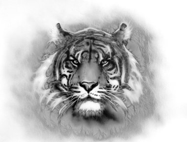 painting of a bright mighty tiger head on a soft toned abstract background eye contact. Black and white