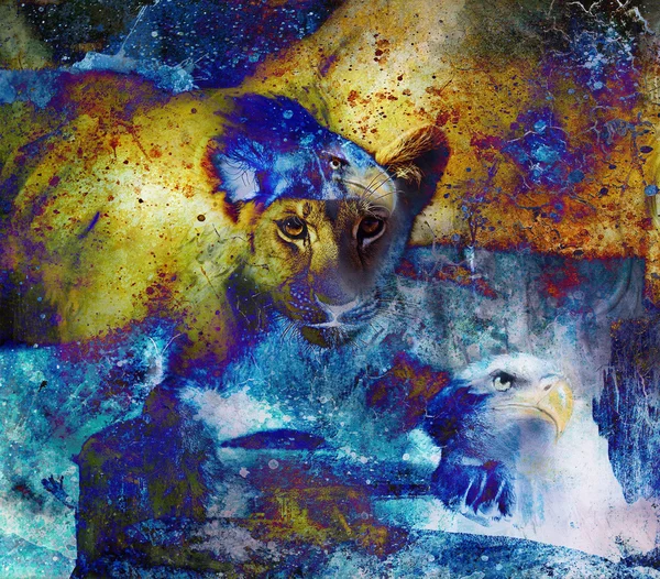 Lion cub photos and eagle painting Abstract Collage. Eye contact. Abstract structure background. — 스톡 사진