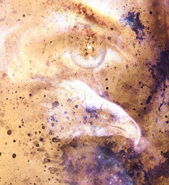 painting eagle with woman eye on abstract background  in space with stars. Wings to fly, USA Symbols Freedom. Sepia.