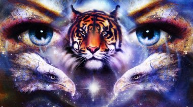 painting eagles and tiger with woman eyes on abstract background in space with stars. Wings to fly. clipart