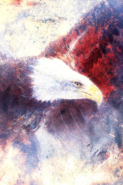 Painting eagle on abstract background, wings to fly, USA Symbols Freedom. Vintage style picture — Stock Photo, Image