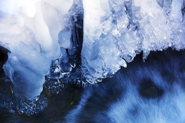 buzlu su. Eriyen kar kaynaklanan dallara asılı buz sarkıtları