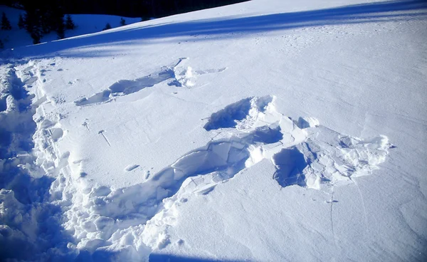 Snow angel in winter and Footprints in the snow — Stock Photo, Image