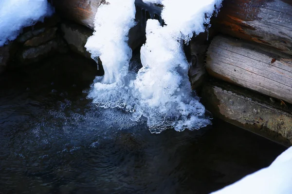 Água gelada. Ciclos pendurados no ramo resultante da neve derretida — Fotografia de Stock