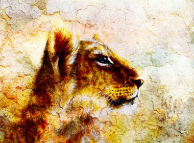 Little lion cub head. animal painting on vintage paper, abstract color background with spots and crackle.