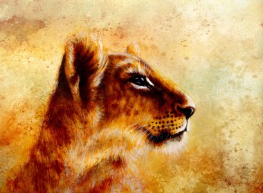 Little lion cub head. animal painting on vintage paper, abstract color background with spots