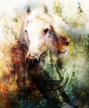 Horse and lion heads, abstract ocre background, with one dollar collage. texture background
