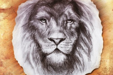 Drawing of a lion head with a majestically peaceful expression on wood abstract background. eye contact.