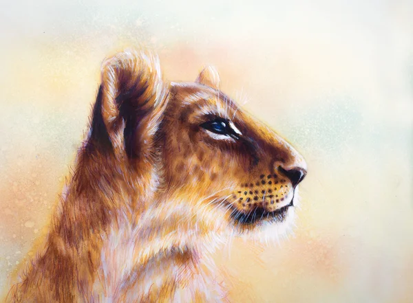 Little lion cub head. animal painting on vintage paper, abstract color background with spots — 스톡 사진