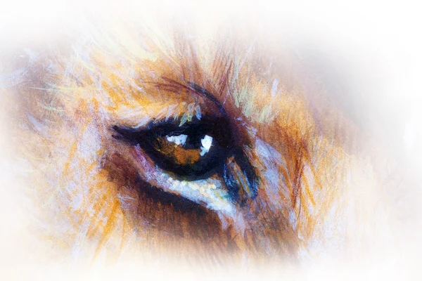 Lion cub eye. animal painting on vintage paper. — ストック写真