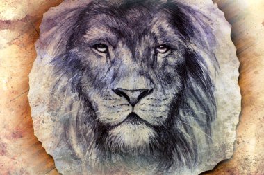 lion face drawing  on vintage paper collage, abstract background. eye contact