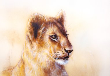 Little lion cub head. animal painting on vintage paper, abstract color background with spots