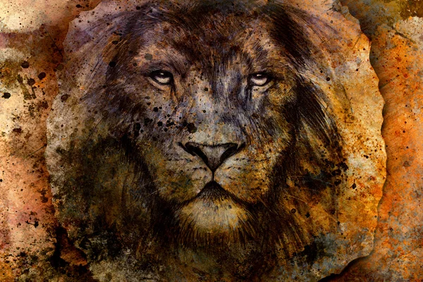 Lion face drawing  on vintage paper collage, abstract background. eye contact — Stock Photo, Image