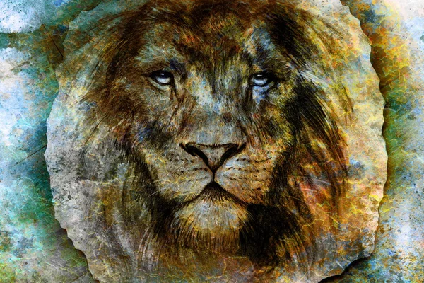 Zeichnung eines Löwenkopfes mit majestätisch friedlichem Ausdruck auf abstraktem Holzgrund. Blickkontakt — Stockfoto