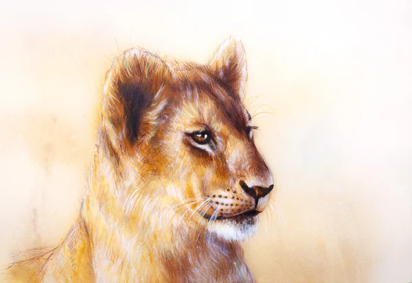 Testa di cucciolo di leone. pittura animale su carta vintage, sfondo di colore astratto con macchie — Foto Stock