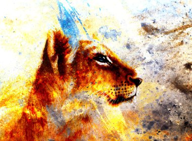 Little lion cub head. animal painting on vintage paper, abstract color background with spots