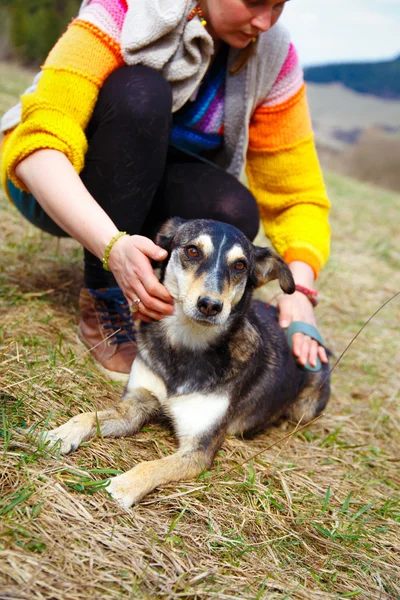 Woman brushing her dog in spring meadows. — Stock Photo, Image