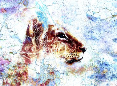Little lion cub head. animal painting, abstract color background with ornaments and crackle