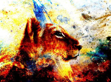 Little lion cub head. animal painting on vintage paper, abstract color background with spots and crackle.