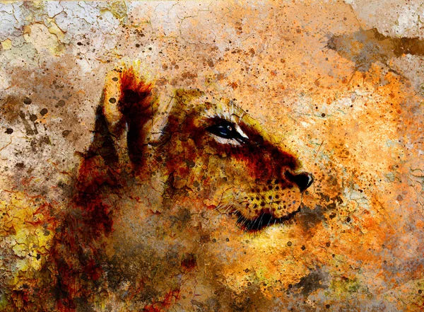 Little lion cub head. animal painting on vintage paper, abstract color background with spots and crackle. — Stok fotoğraf