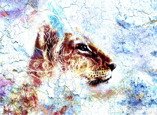 Little lion cub head. animal painting, abstract color background with ornaments and crackle — Stok fotoğraf