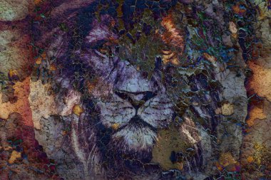 lion face drawing  on vintage paper collage, abstract background. eye contact