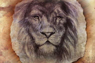 lion face drawing  on vintage paper collage, abstract background. eye contact