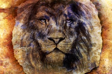lion face drawing  on vintage paper collage, abstract background. eye contact