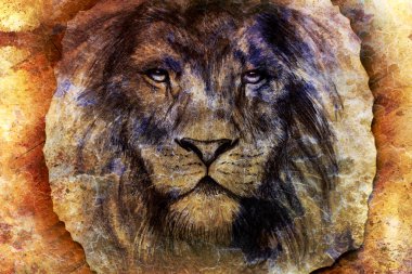 lion face drawing  on vintage paper collage, abstract background. eye contact